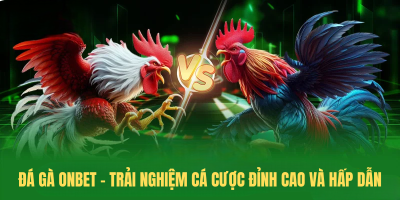 Đá Gà ONBET – Trải Nghiệm Cá Cược Đỉnh Cao Và Hấp Dẫn